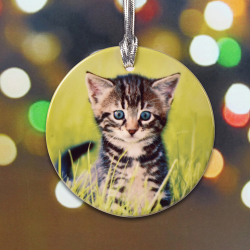Katzenfoto als Erinnerung Anhänger Kermik Rund
